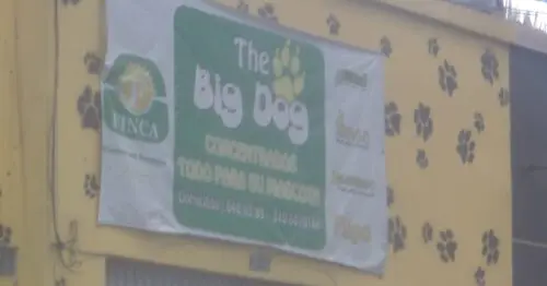 THE BIG DOG THE BIG DOG